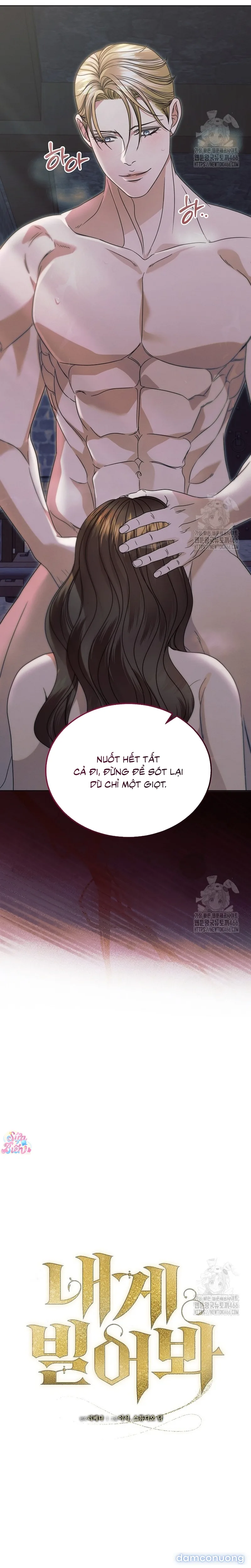 Hãy Cầu Xin Ta Đi 