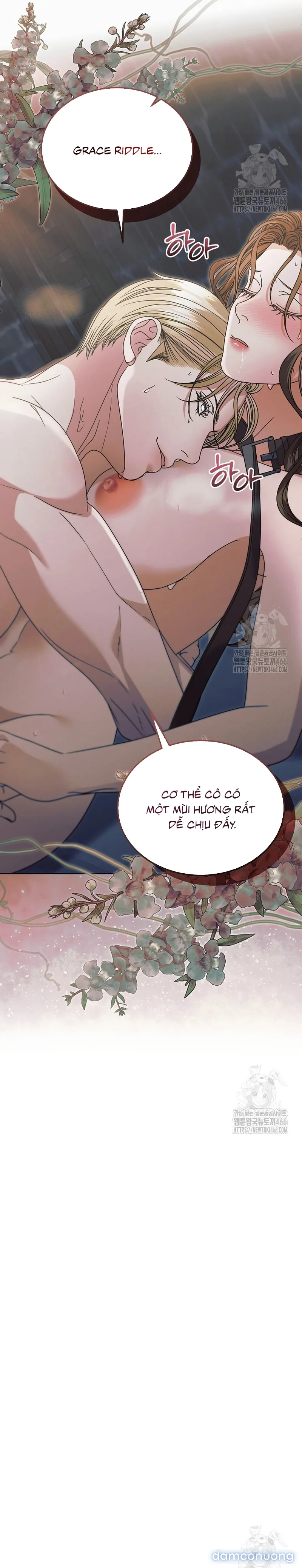Hãy Cầu Xin Ta Đi 
