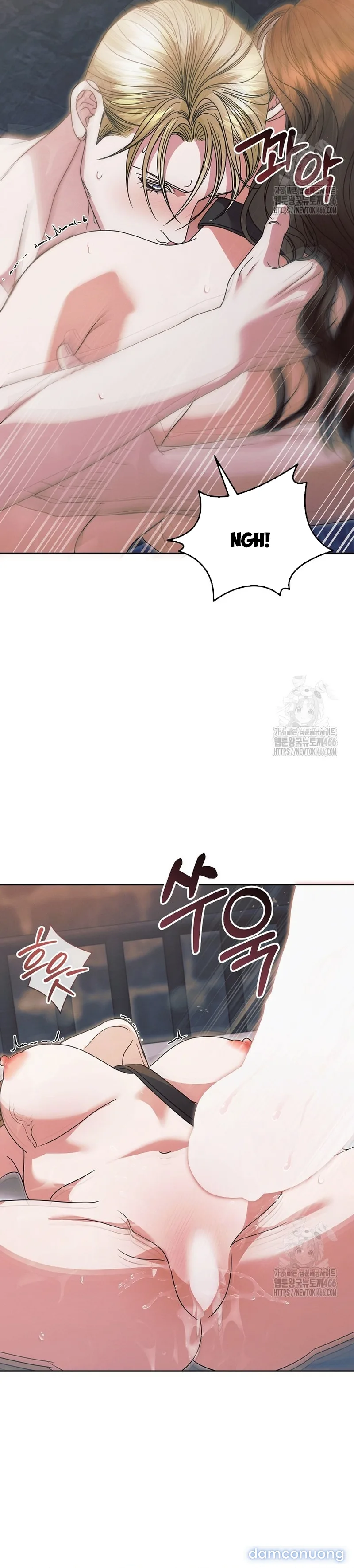 Hãy Cầu Xin Ta Đi 