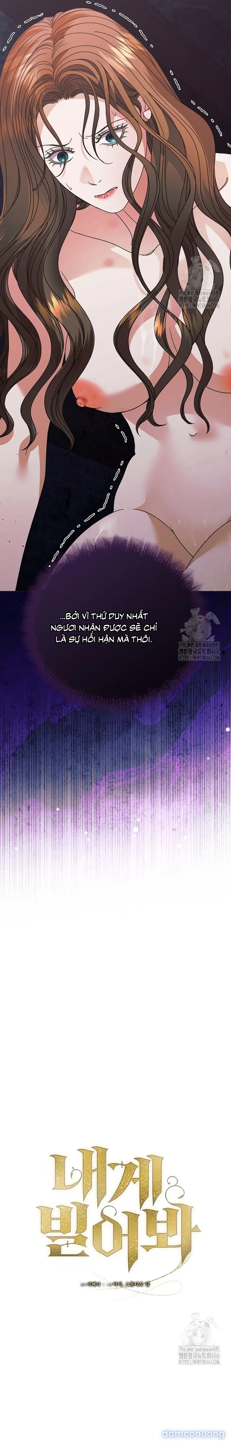 Hãy Cầu Xin Ta Đi 
