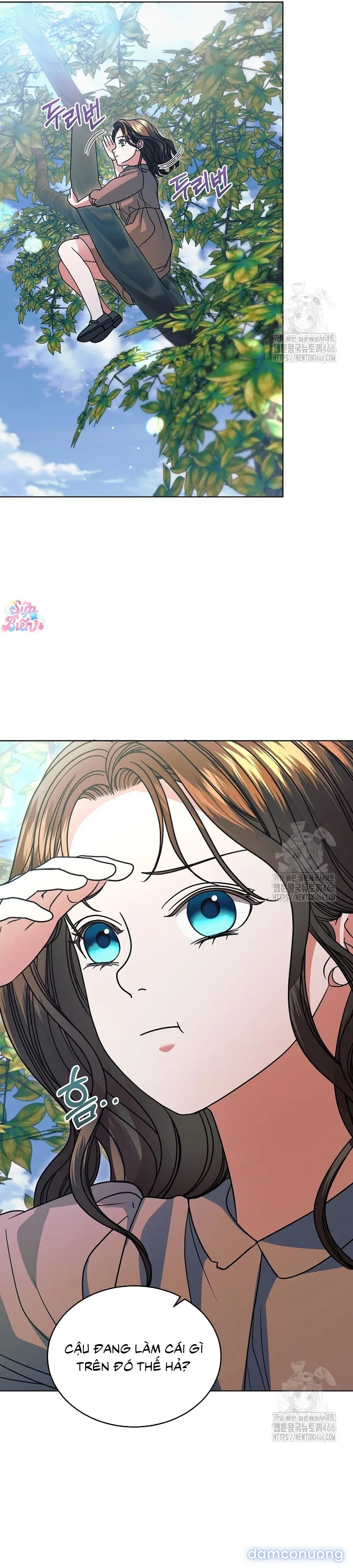 Hãy Cầu Xin Ta Đi 