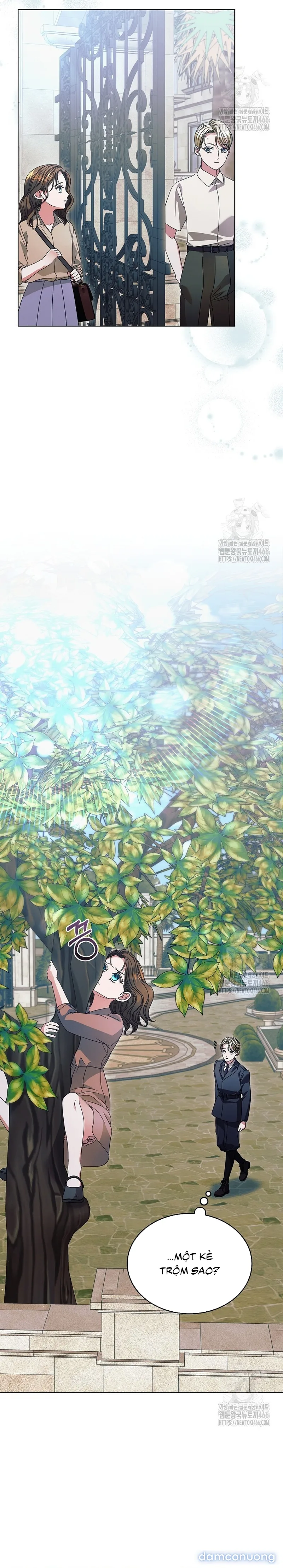 Hãy Cầu Xin Ta Đi 