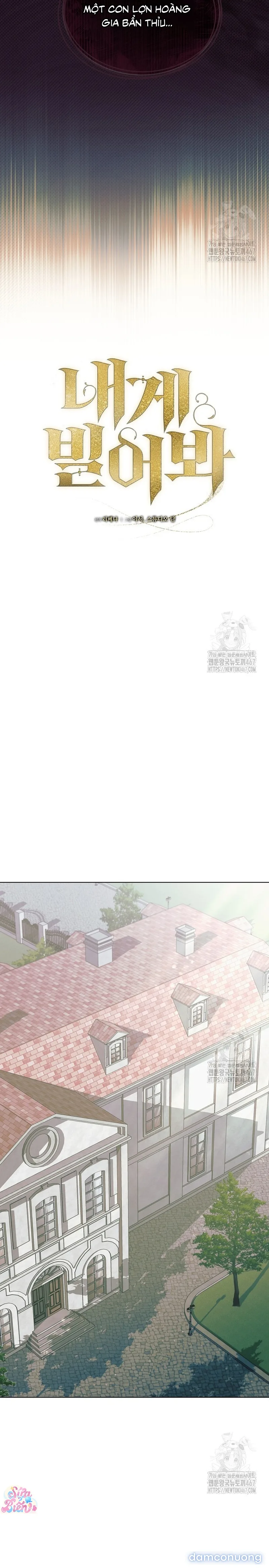 Hãy Cầu Xin Ta Đi 
