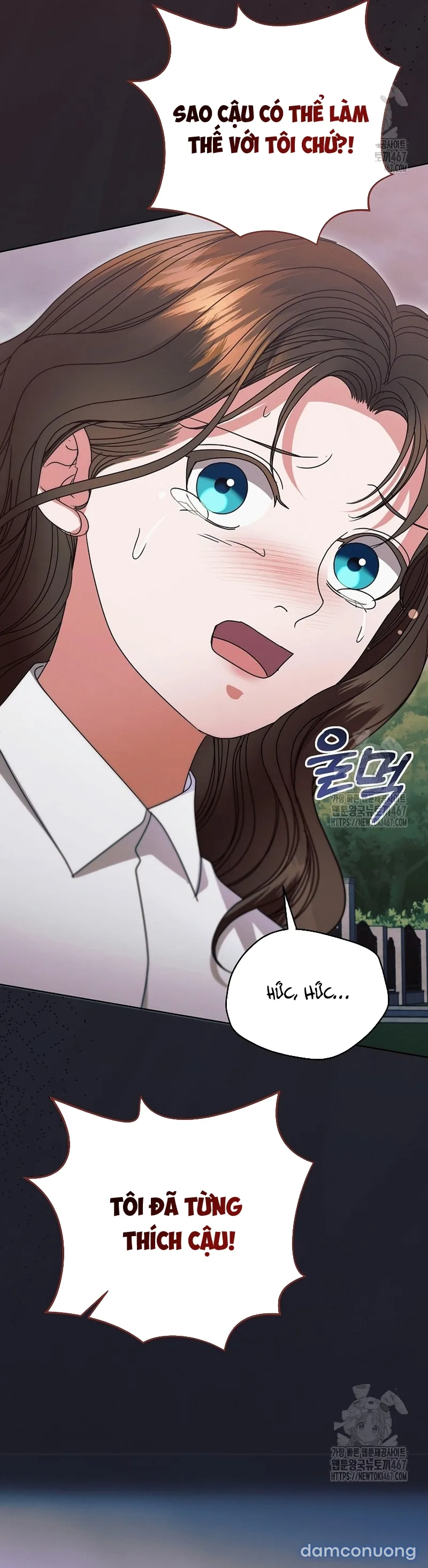 Hãy Cầu Xin Ta Đi 