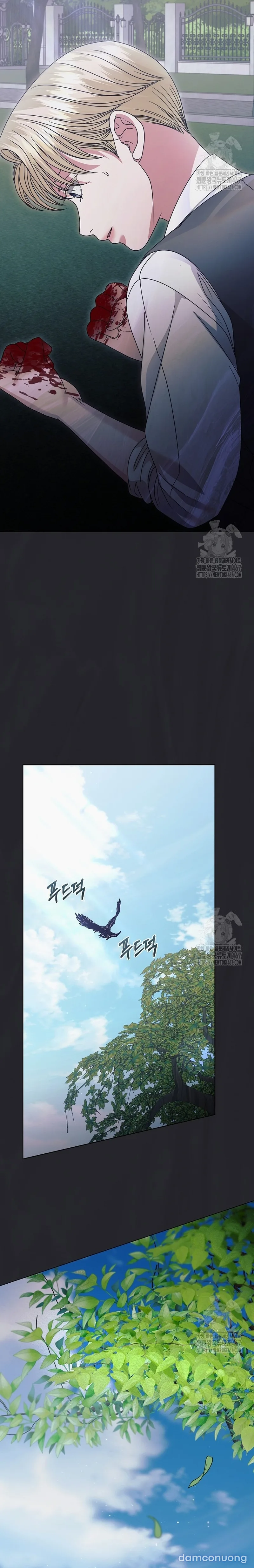 Hãy Cầu Xin Ta Đi 