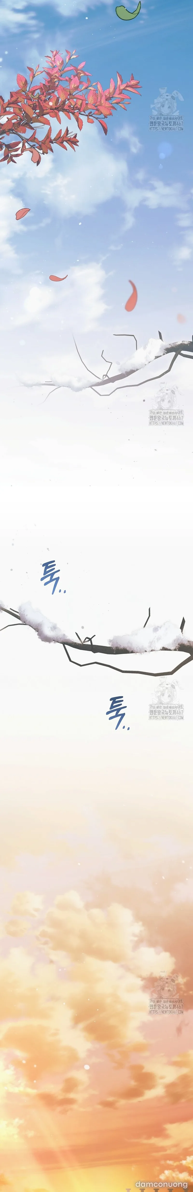 Hãy Cầu Xin Ta Đi 