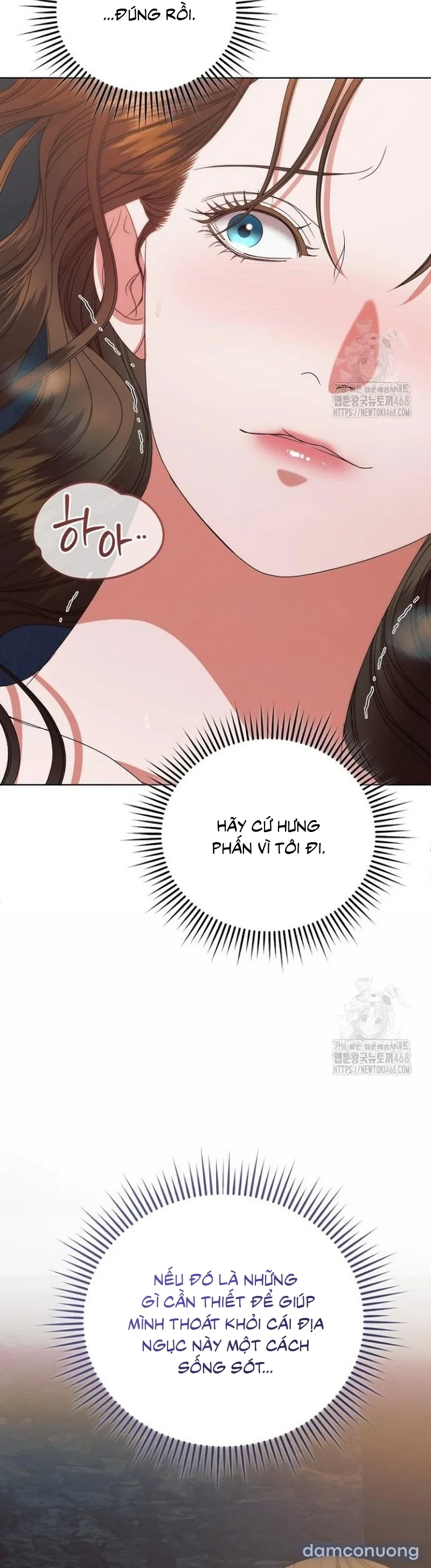 Hãy Cầu Xin Ta Đi 