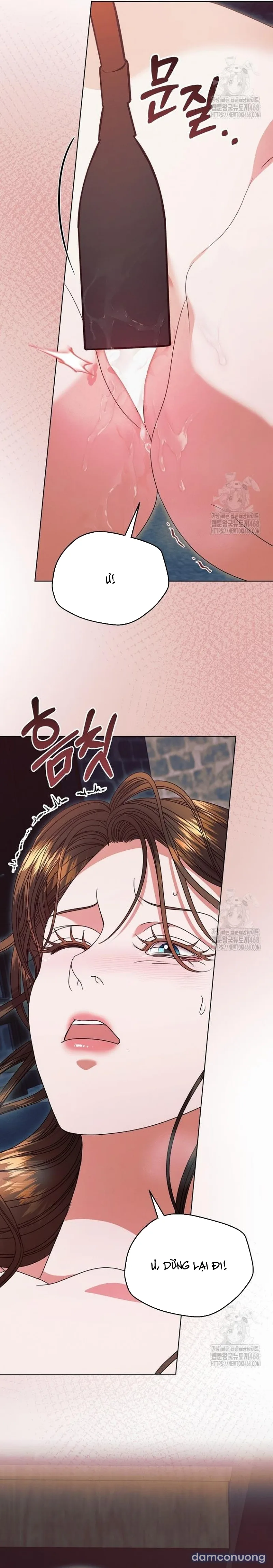 Hãy Cầu Xin Ta Đi 