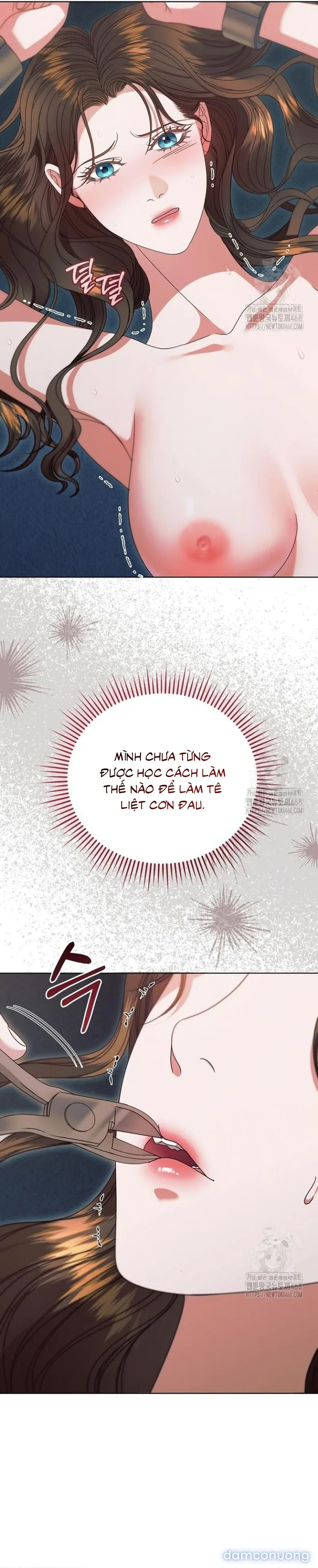 Hãy Cầu Xin Ta Đi 