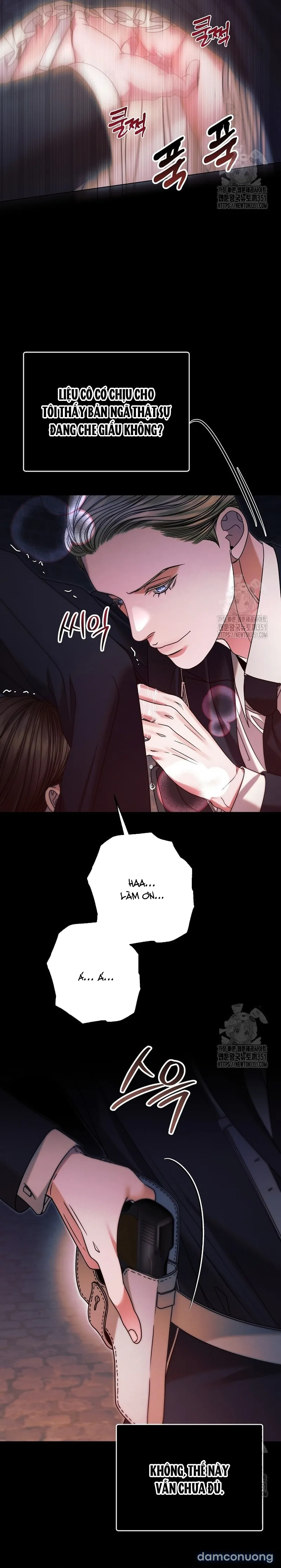 Hãy Cầu Xin Ta Đi 