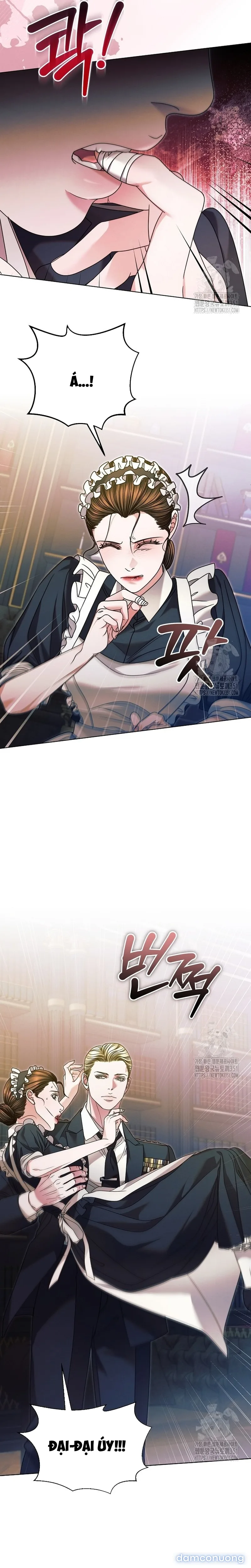 Hãy Cầu Xin Ta Đi 