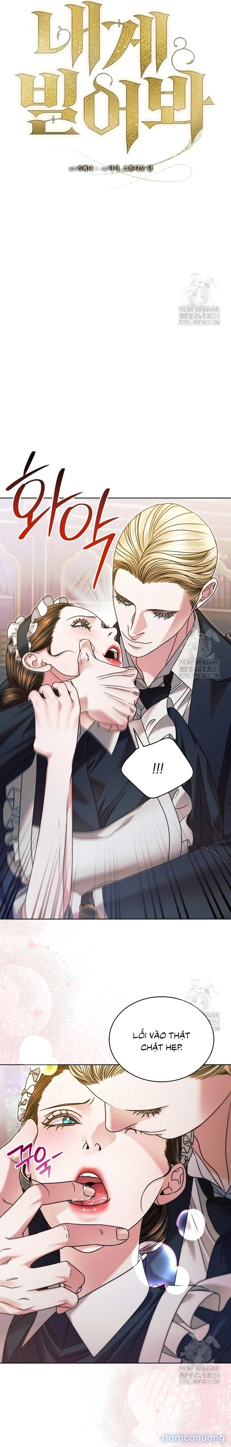 Hãy Cầu Xin Ta Đi 