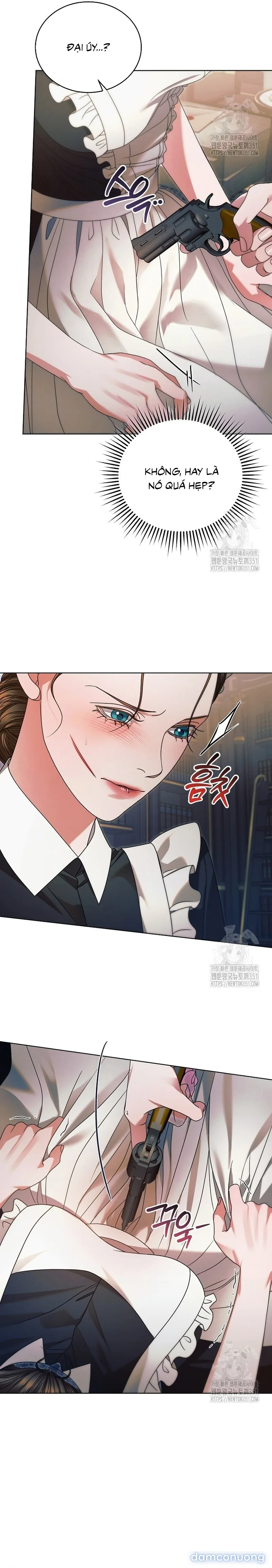 Hãy Cầu Xin Ta Đi 