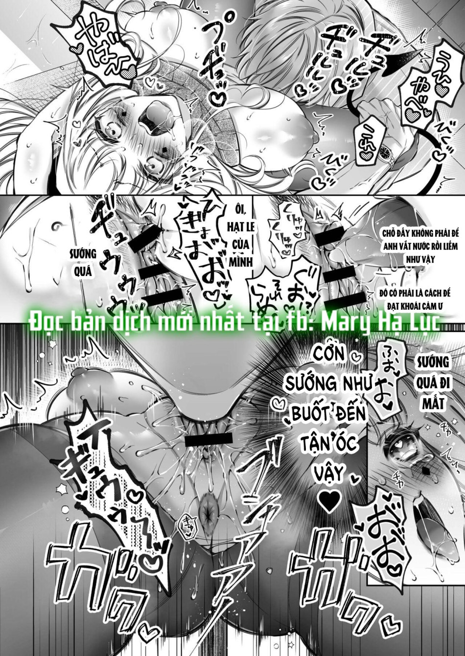 [18+] Cuộc Hôn Nhân Của Tử Tước Điên Loạn và Nàng Kỹ Nữ 