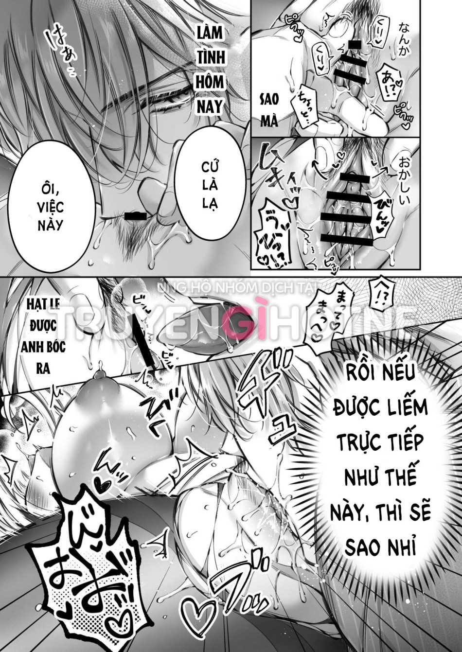 [18+] Cuộc Hôn Nhân Của Tử Tước Điên Loạn và Nàng Kỹ Nữ 