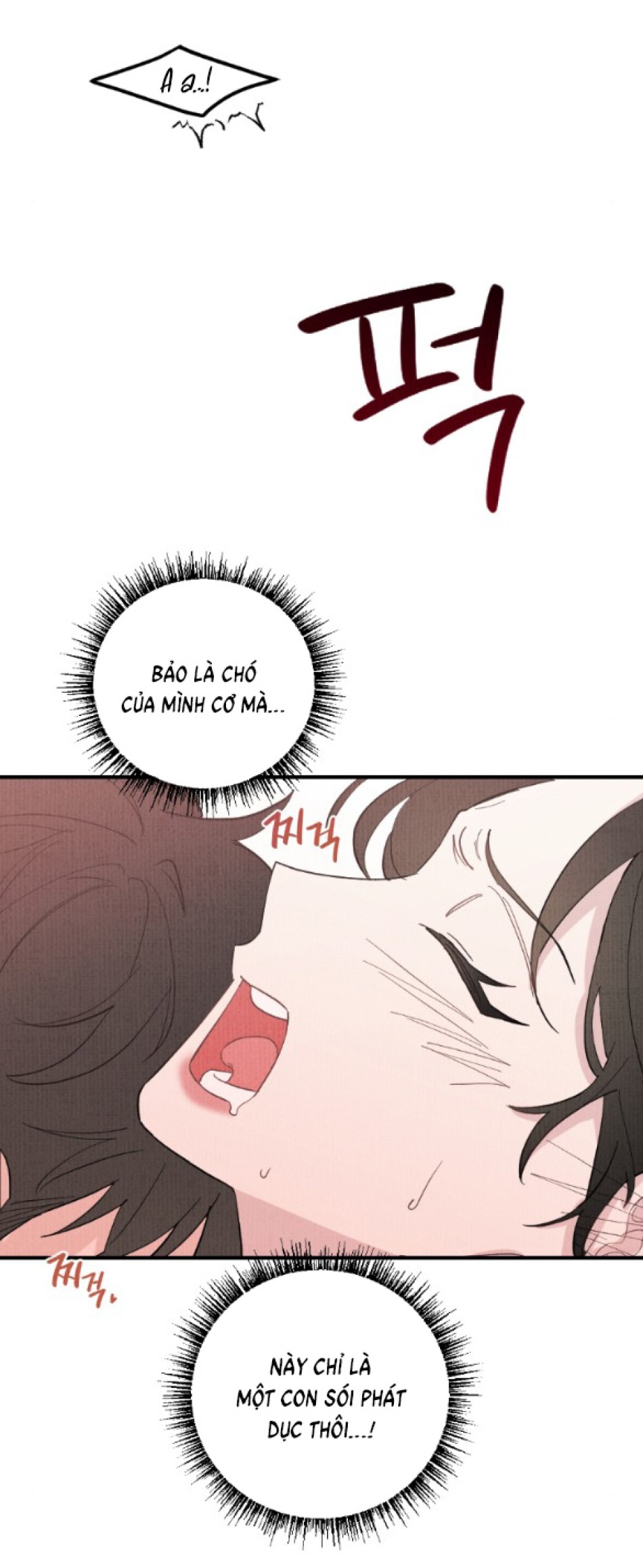 [18+] CUỘC HÔN NHÂN CHÍNH TRỊ 