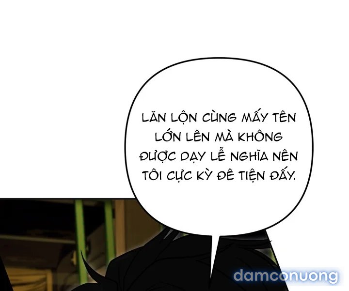 [18+] Chuyển Phát Nhanh Hongkong 