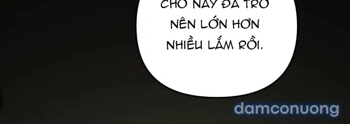 [18+] Chuyển Phát Nhanh Hongkong 