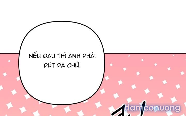 [18+] Chuyển Phát Nhanh Hongkong 