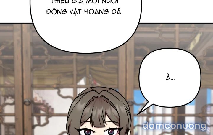 [18+] Chuyển Phát Nhanh Hongkong 