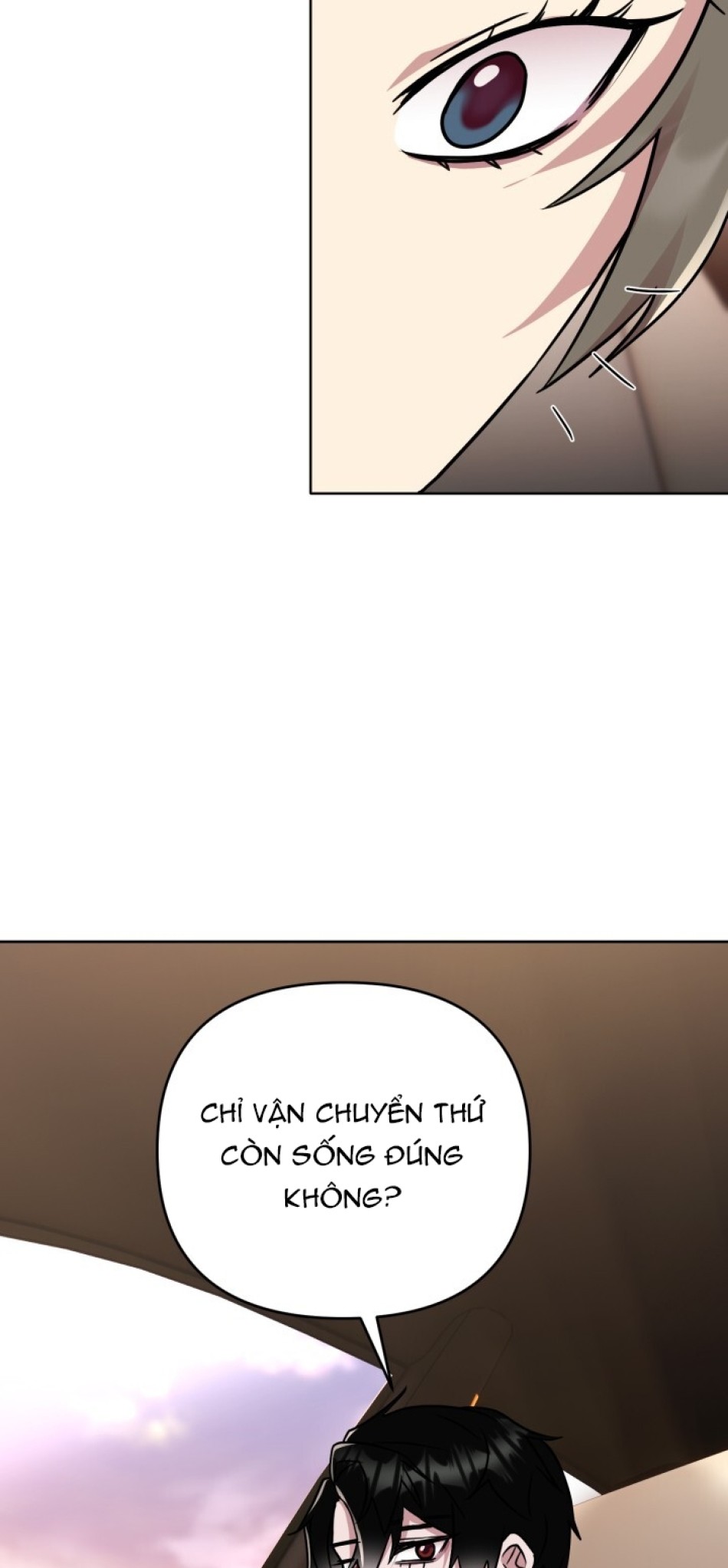[18+] Chuyển Phát Nhanh Hongkong 