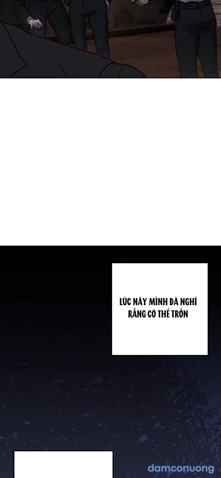[18+] Chuyển Phát Nhanh Hongkong 