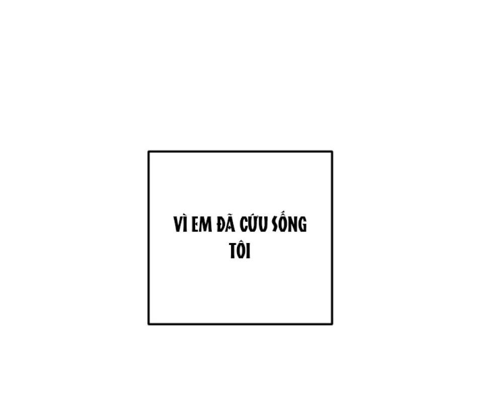 [18+] Chuyển Phát Nhanh Hongkong 
