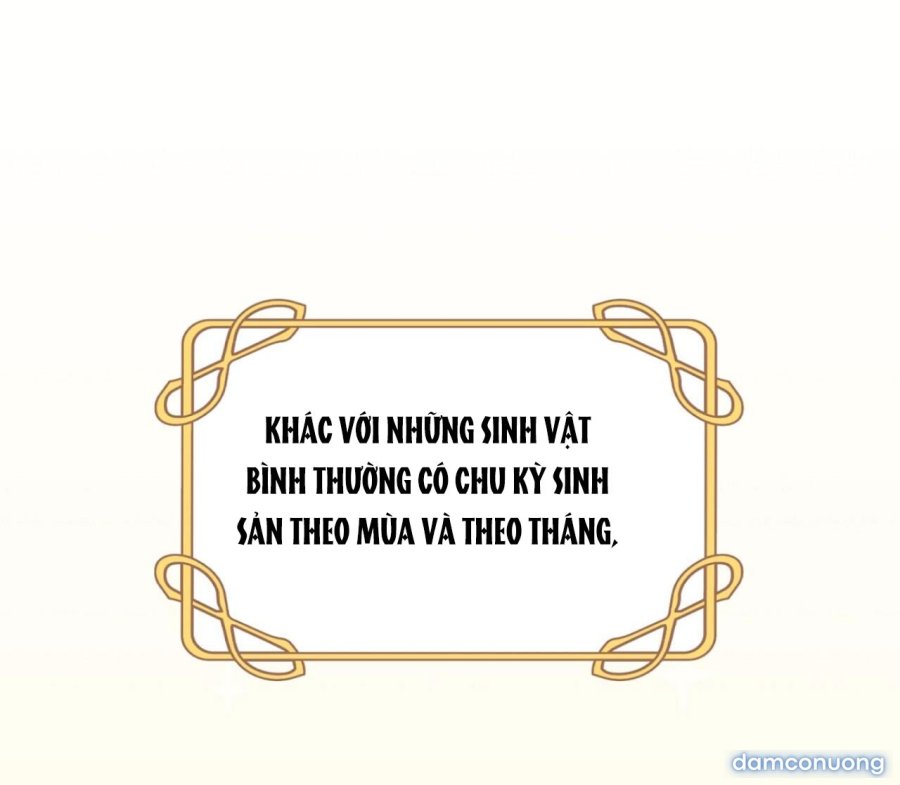 [18+] CHUYỆN CỦA NHỮNG PHÁP SƯ ẤY 
