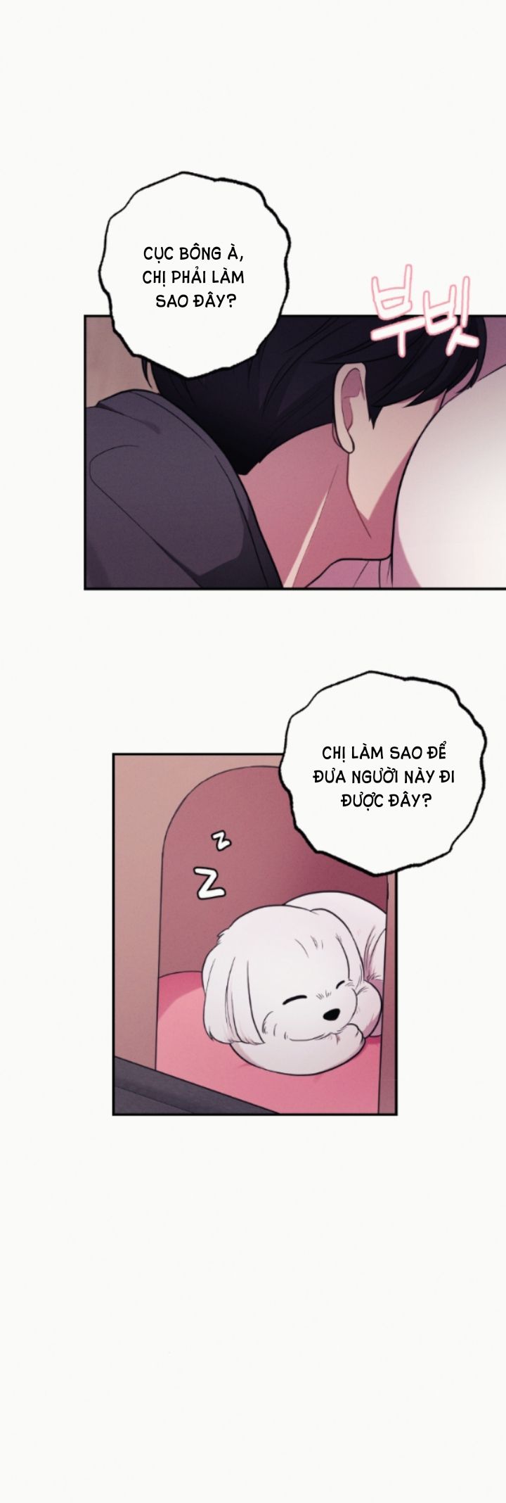 [18+] CÁM DỖ MÀU ĐỎ 