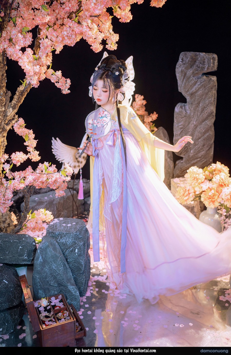 Hồ điệp tiên tử 