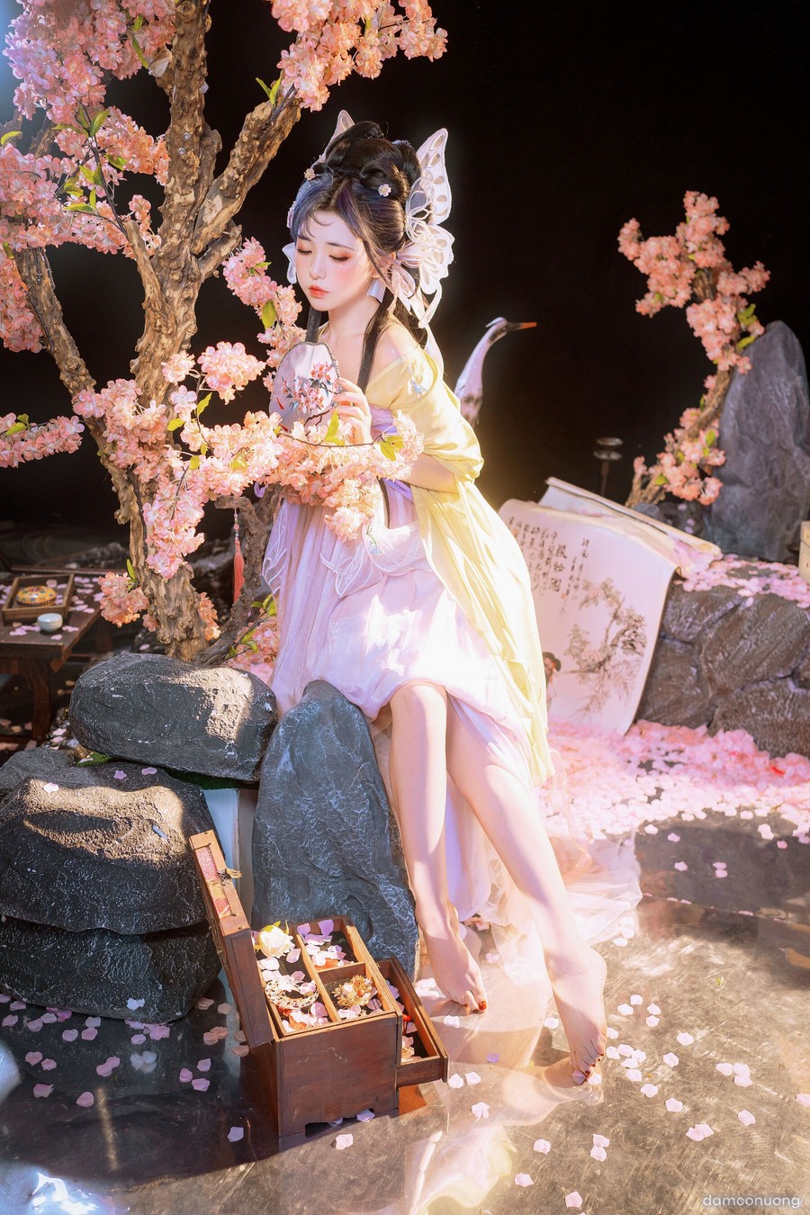 Hồ điệp tiên tử 