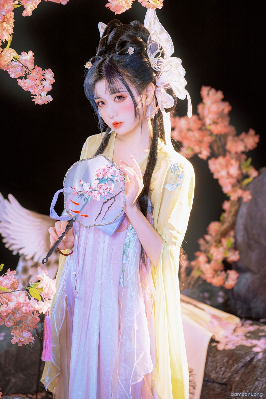 Hồ điệp tiên tử 