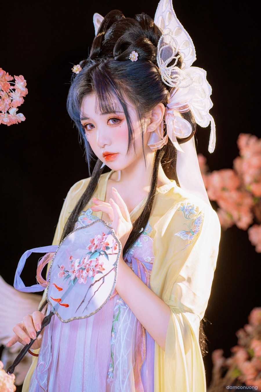 Hồ điệp tiên tử 
