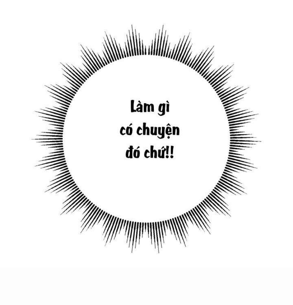 Người Đánh Giá Đồ Chơi 
