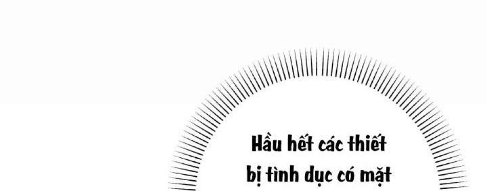 Người Đánh Giá Đồ Chơi 
