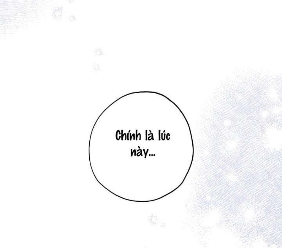 Người Đánh Giá Đồ Chơi 