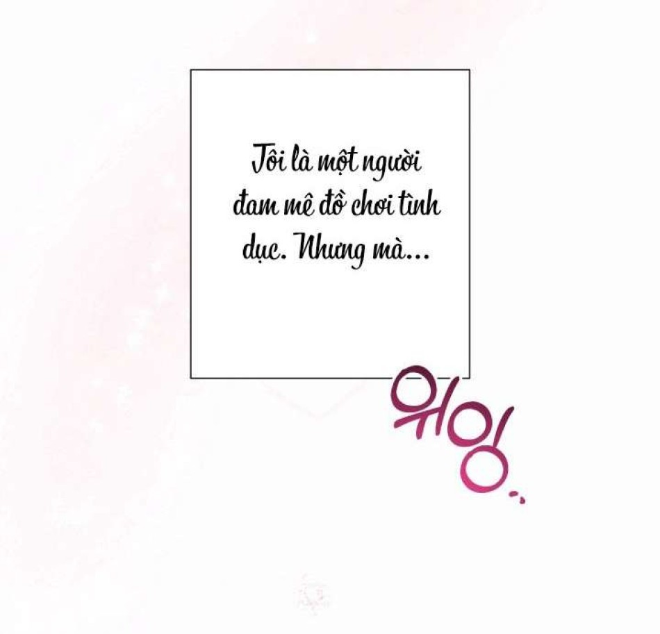 Người Đánh Giá Đồ Chơi 