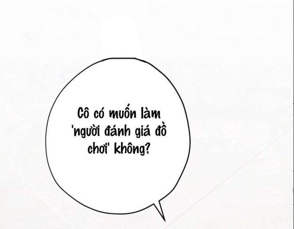 Người Đánh Giá Đồ Chơi 