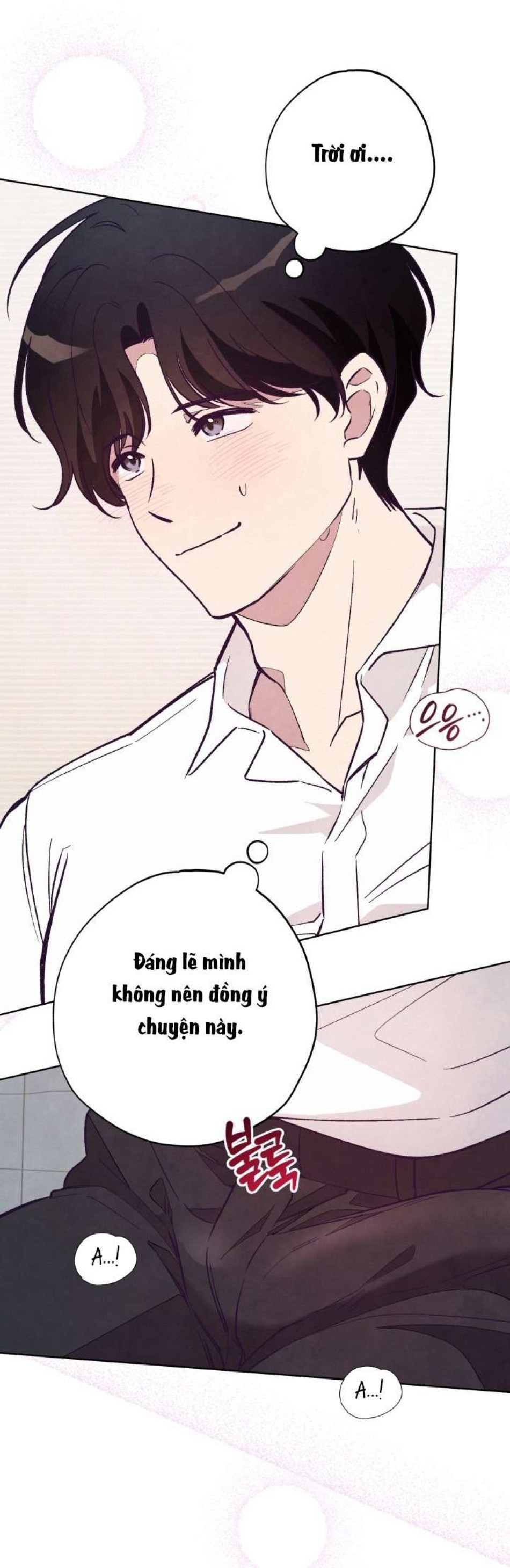 Người Đánh Giá Đồ Chơi 
