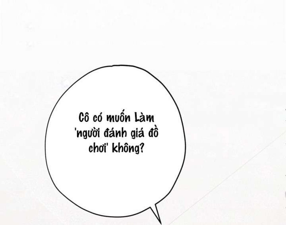 Người Đánh Giá Đồ Chơi 