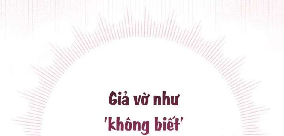 Người Đánh Giá Đồ Chơi 