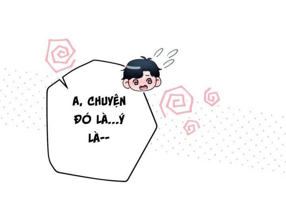 Người Đánh Giá Đồ Chơi 