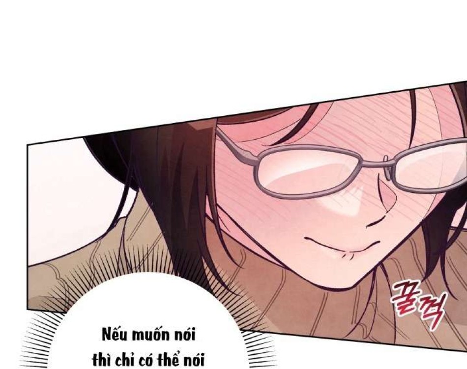 Người Đánh Giá Đồ Chơi 