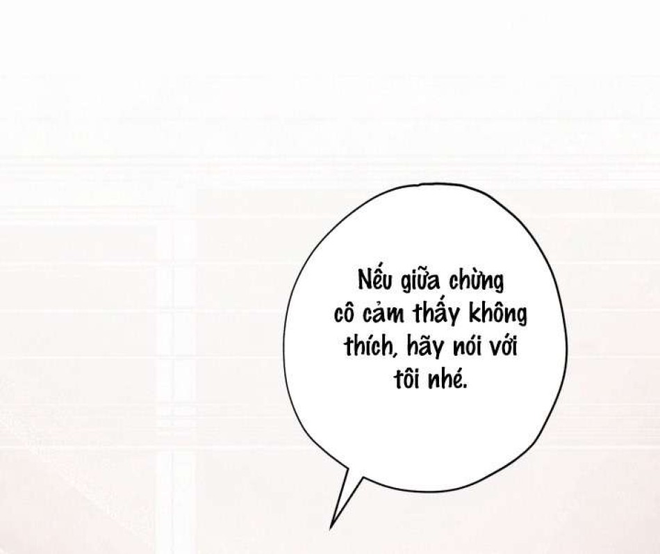 Người Đánh Giá Đồ Chơi 