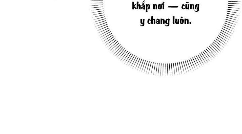 Người Đánh Giá Đồ Chơi 