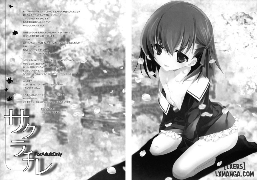 Sakura Chire 
