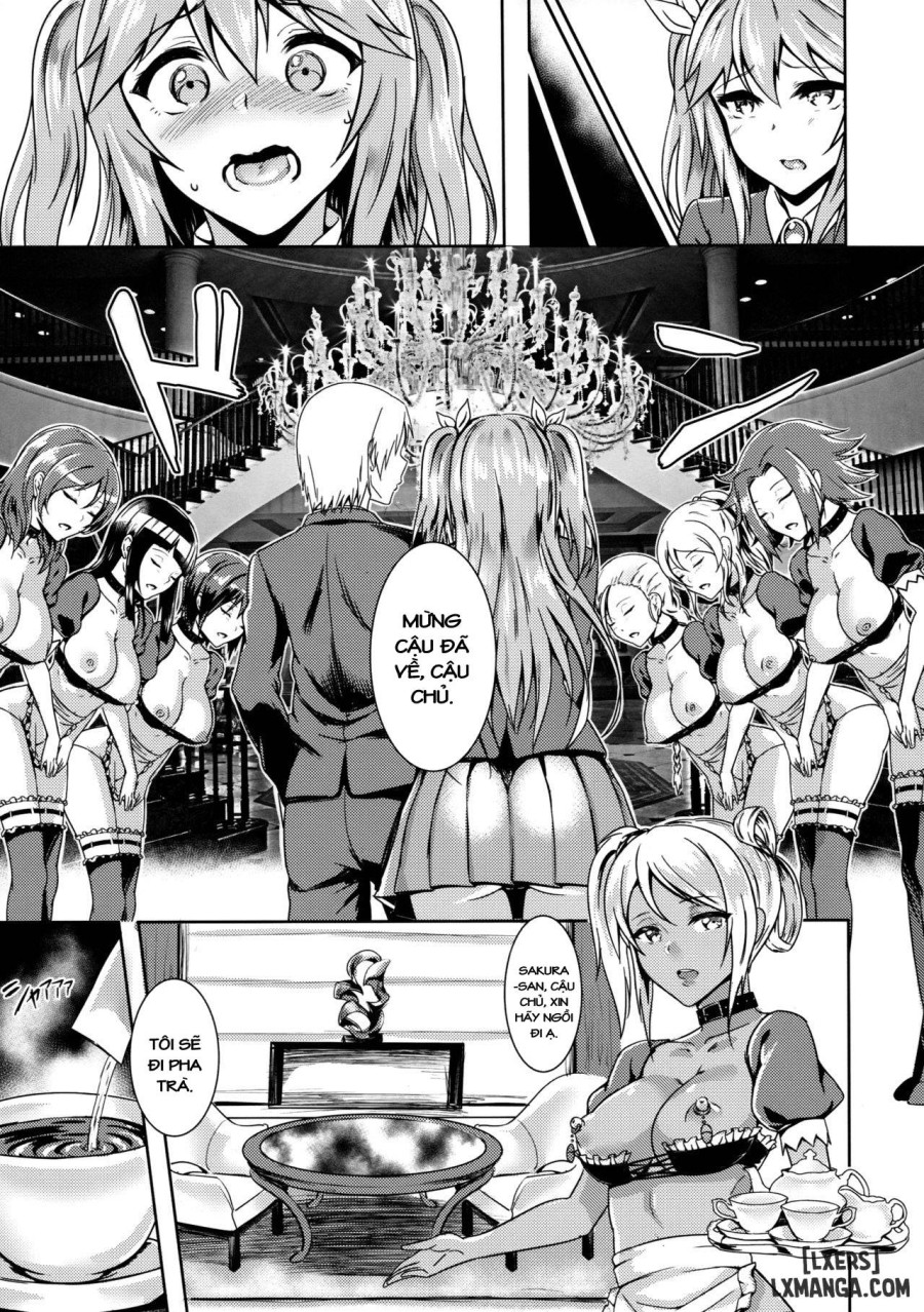 Sakura Falls 