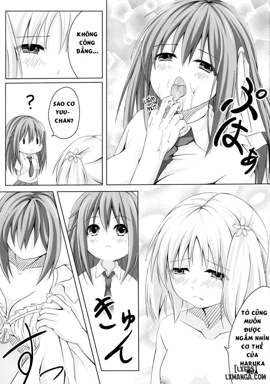 Sakura Strip 