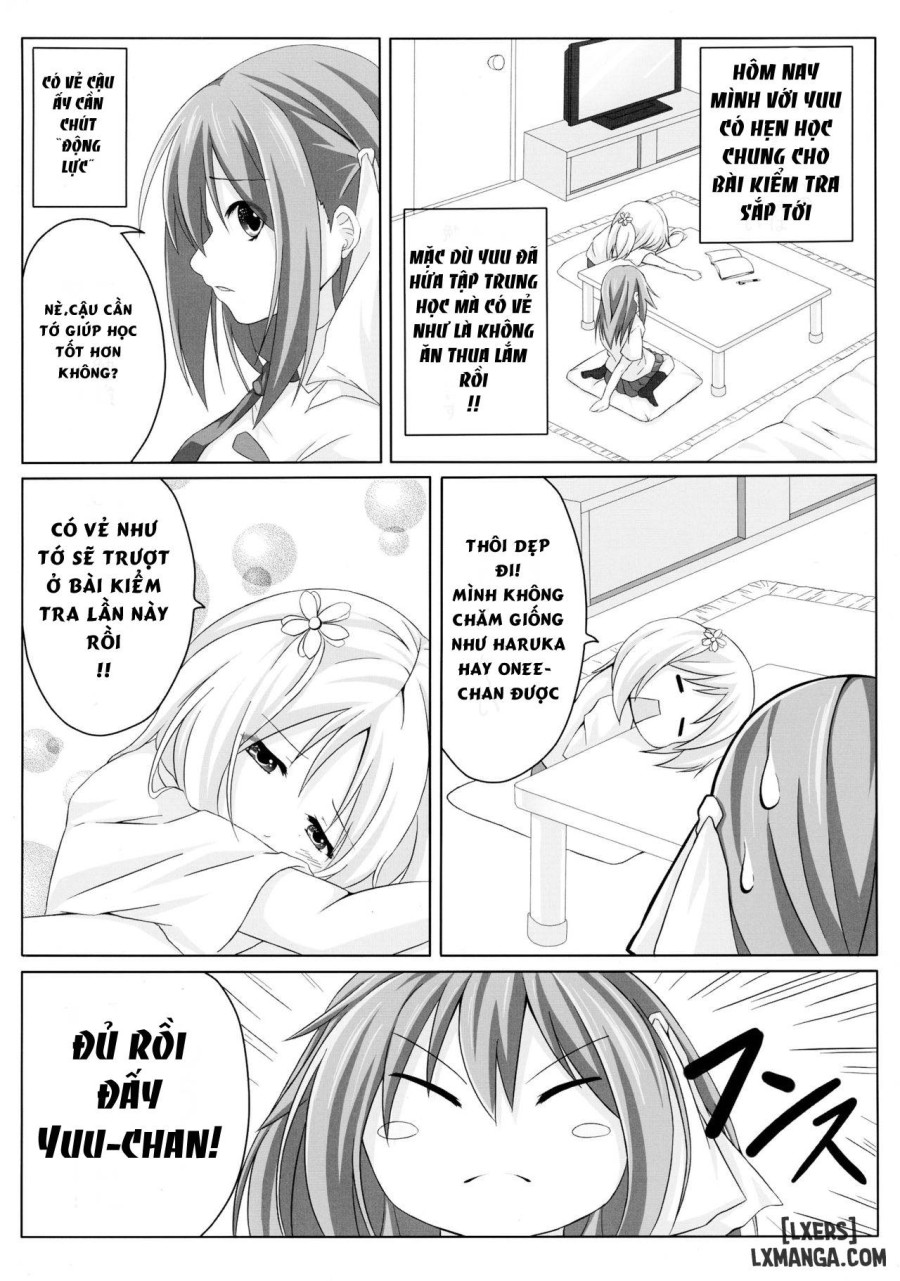 Sakura Strip 