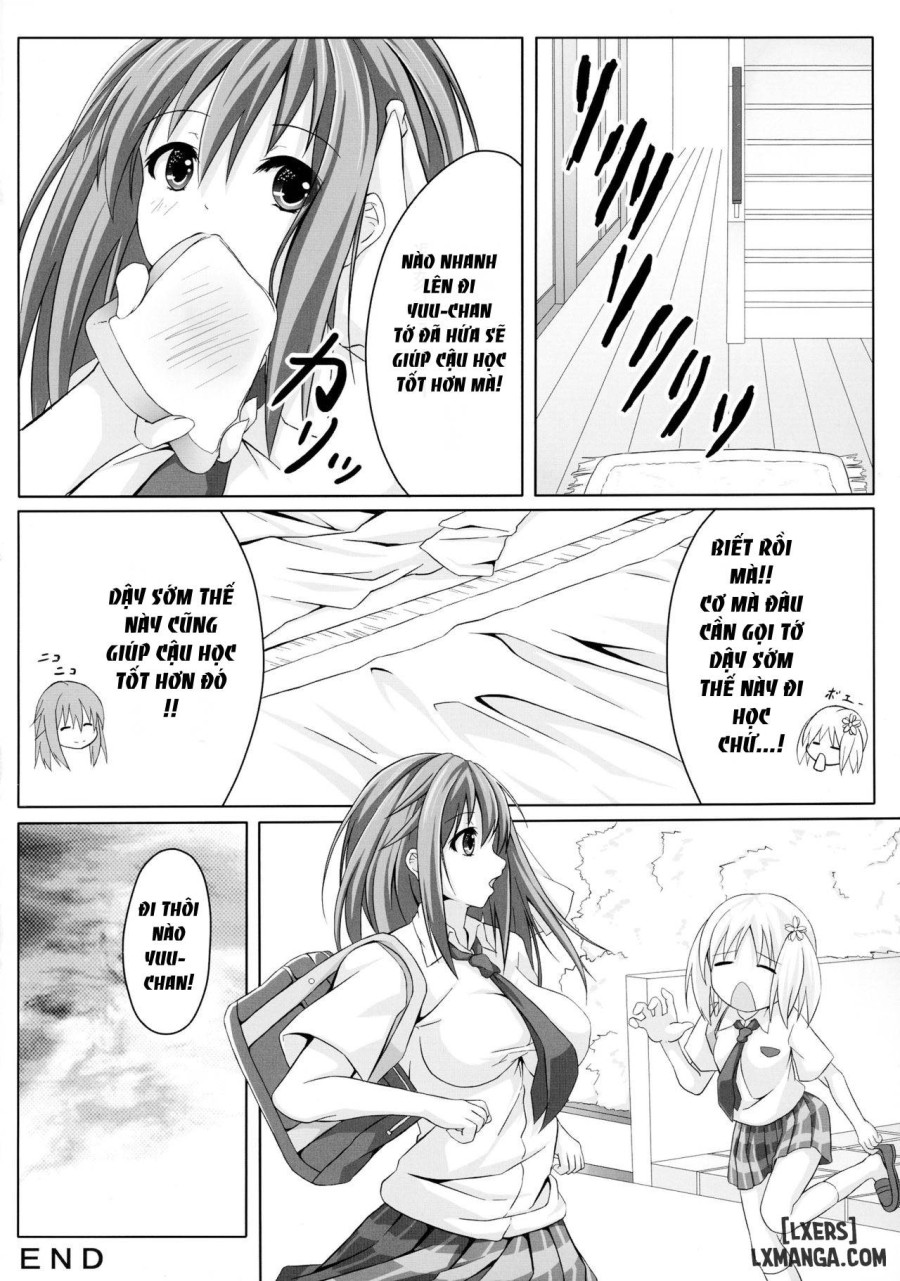 Sakura Strip 